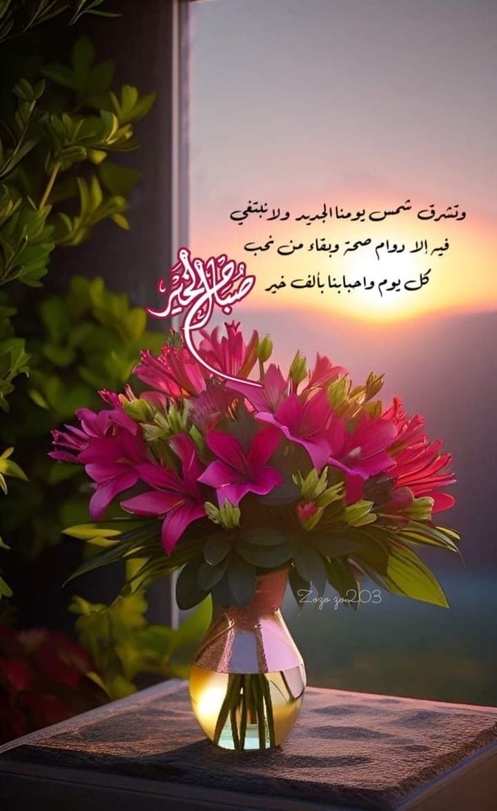 مساء الخير اني سعوديه مطلقه رقمي واتساب 🇸🇦+966561161004