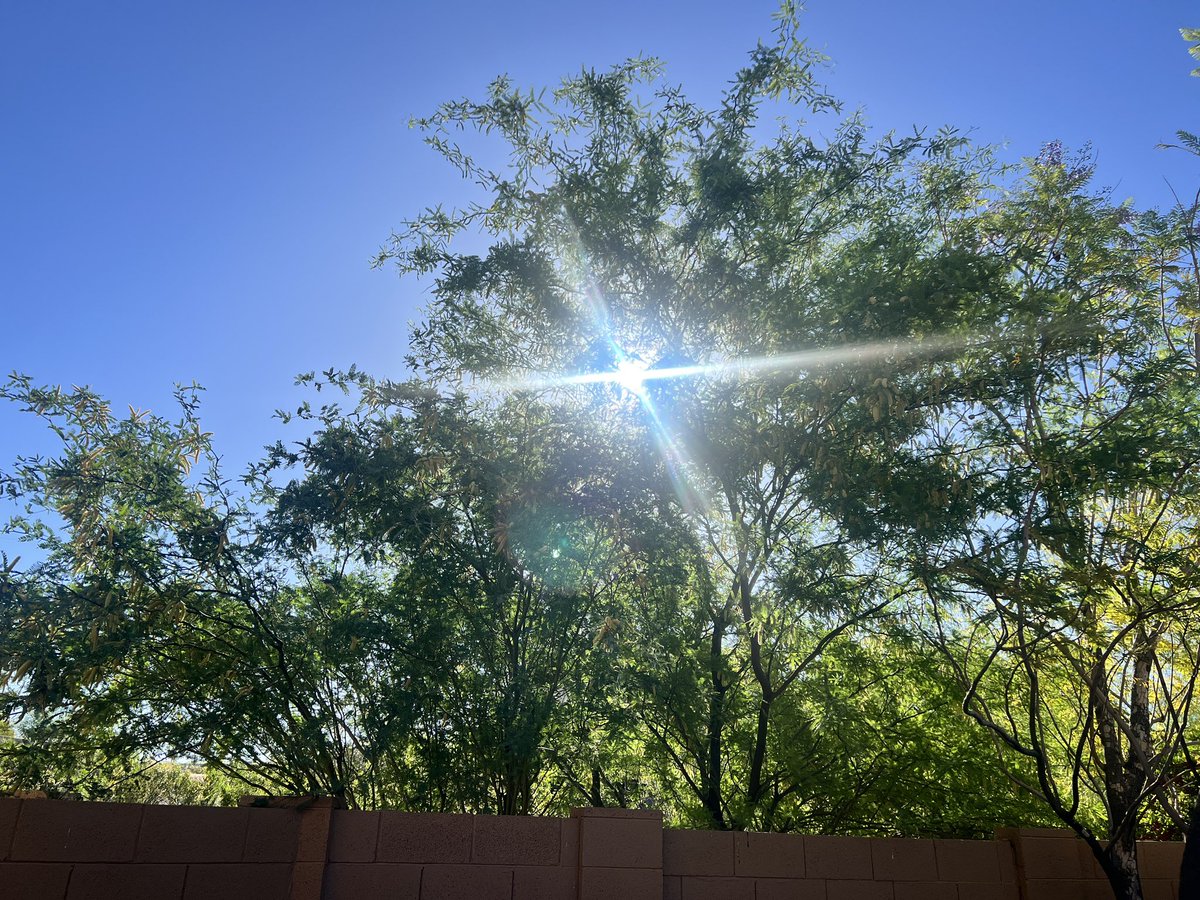 May!!
Is that you already??!
Seems like April had just unpacked her bags-and here you are!
Come on in… just leave your extreme temps at the door please! 😅
High for #phx …
low to mid 90’s! 
Enjoy! 😎
#azwx