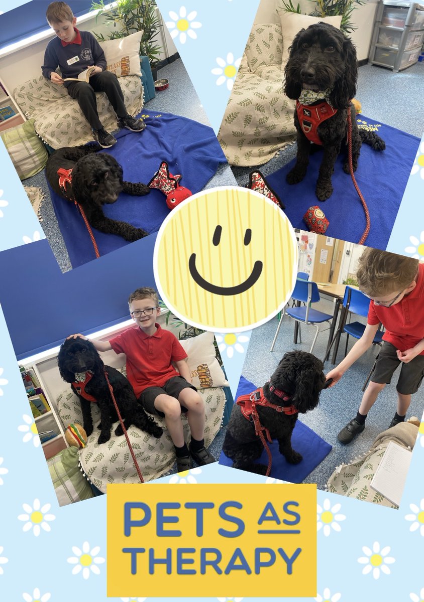 🐾 Another wonderful Wednesday! Merlin has listened to lots and lots of our pupils read this afternoon and he even went into our assembly to hand out some awards!! #read2dogs #petsastherapy #reading #happy #favouritetime #confidencebooster 🐾
