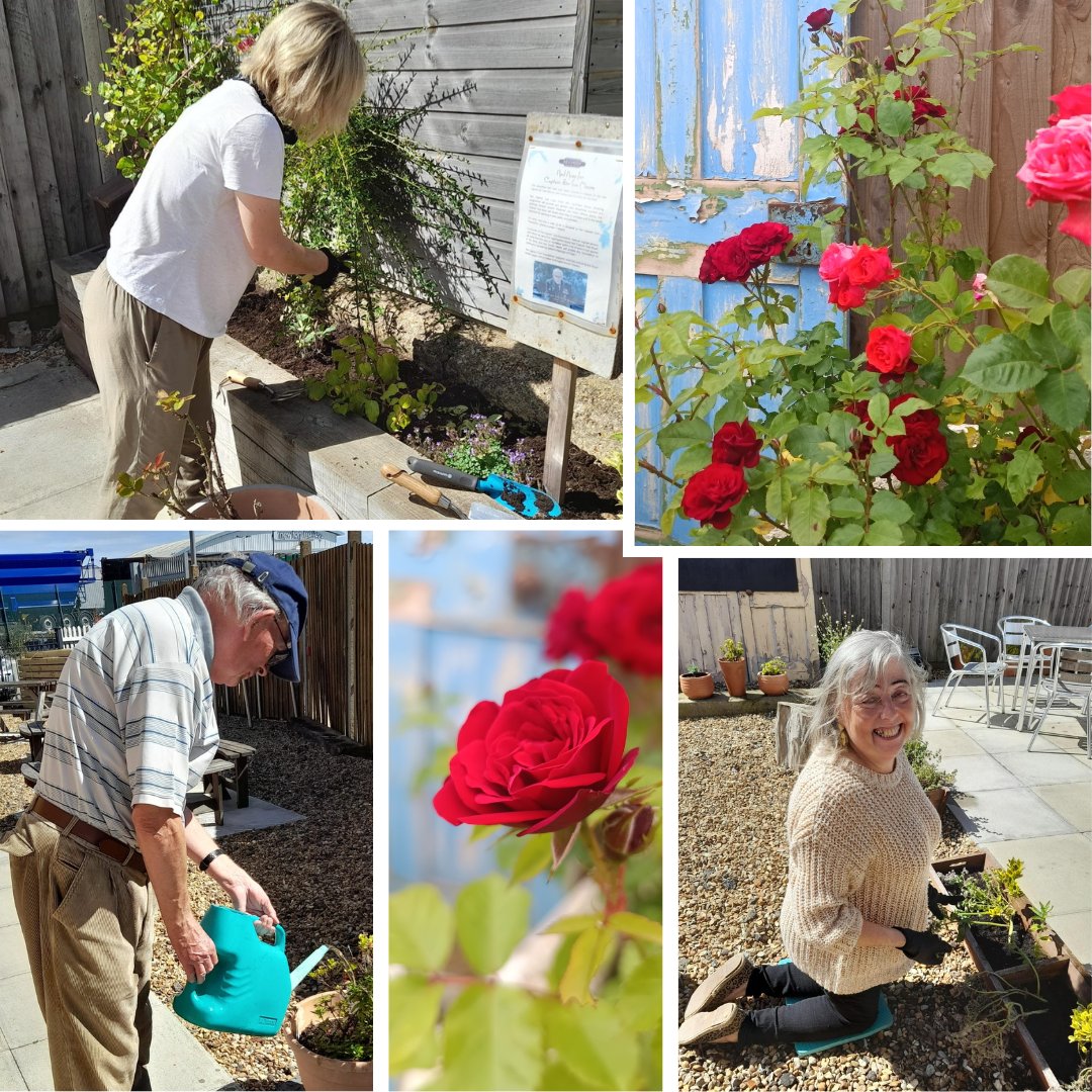 Our gardening group is sowing seeds of friendship, wellness, and sustainability as we enjoy the warmer weather and sunshine. Want to join us? We'd love to see you - send us a DM for more info ✉🌱🌻 

#communitygardening #communitygarden #gardening #ridgmont #railstoroots