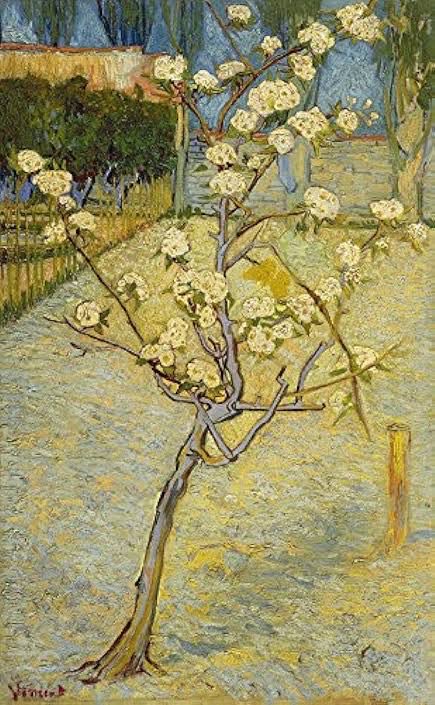 Vincent van Gogh: “Petit poirier en fleur”.