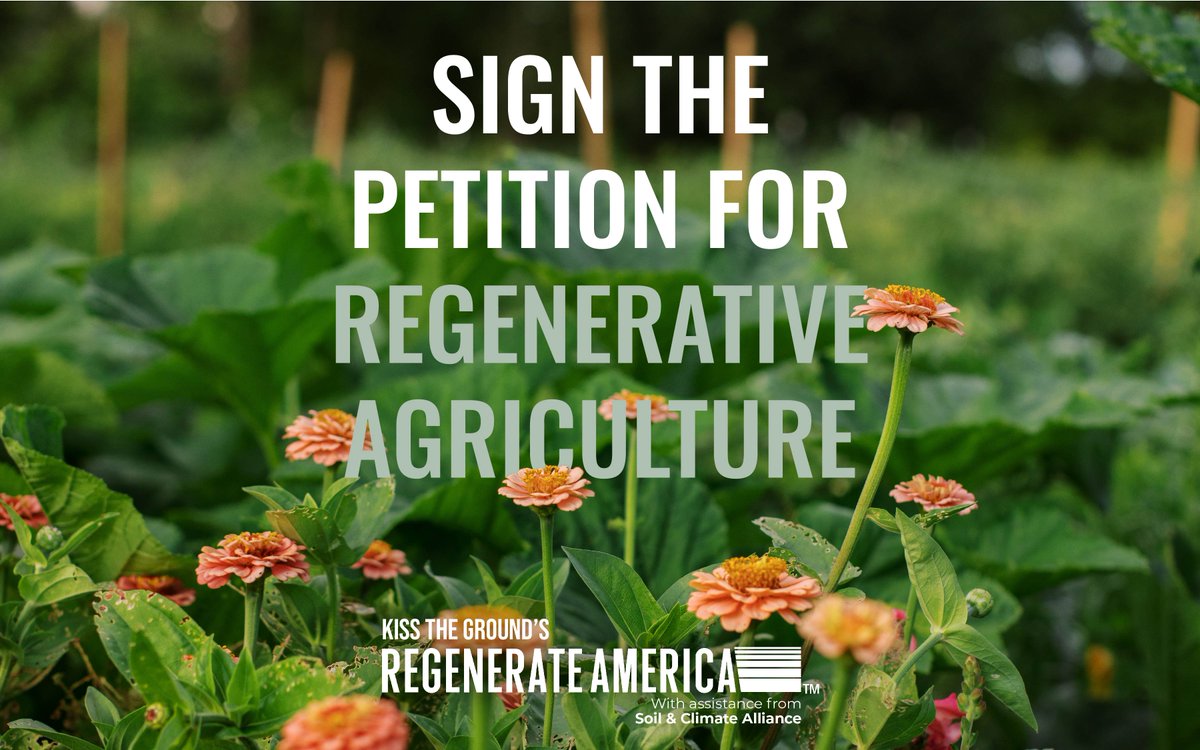 Congress is writing our next farm bill. Rather than supporting commodities over communities, we are calling on Congress to support regenerative agriculture in the farm bill. Join us today by signing the #PetitionToRegenerateAmerica at kisstheground.com/petition!