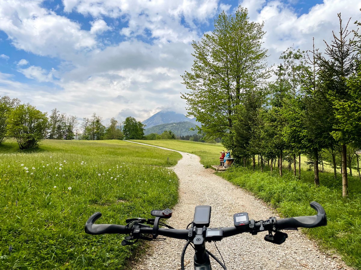 Riding the home trail 
.
.
#gorenjska  #slovenia #ifeelslovenia  #nature  #gorgeous  #outdoors #mountains #discoverslovenia #mountains  #golnik  #mountainbiking #cycling #preddvor #sports #genius710 #geniuseride #sramasxeagle #eaglexx1  #slovenia🇸🇮 #karoo2 #hammerhead