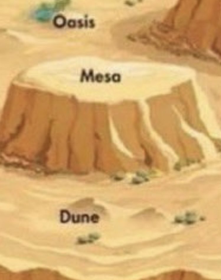 my oasis. my mesa. my dune.