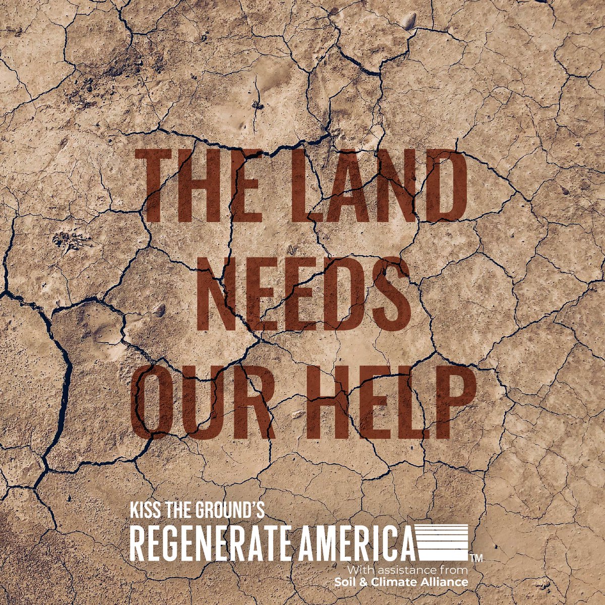 We need a new farm bill! If you believe that soil is our common ground and our common good, visit kisstheground.com/petition today to sign the #PetitionToRegenerateAmerica and demand that Congress support regenerative agriculture! #savesoil