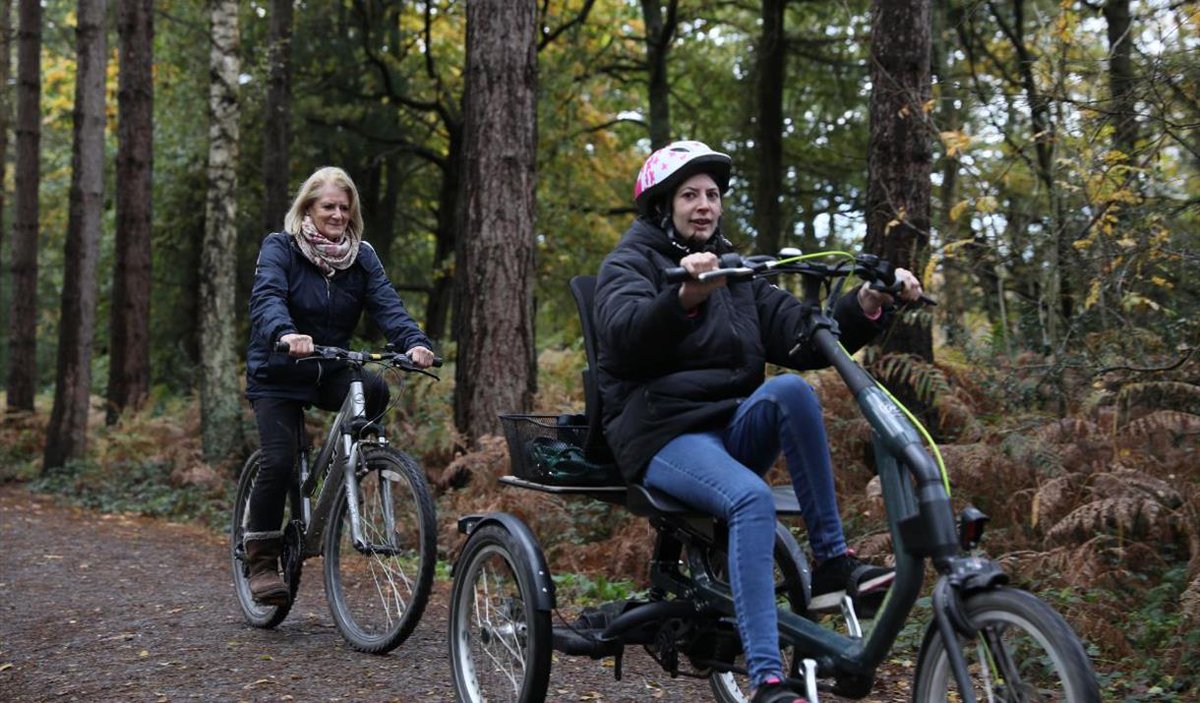 Looking for an accessible day out in nature? At @aliceholtforest they have walking and wellbeing trails, an inclusive play area, an inclusive cycling fleet and a changing places toilet! Find out more 🔗 bit.ly/4blddf4