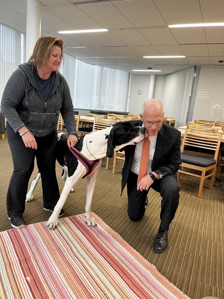 Bianca (3 yr old Great Dane) visited campus today for a study break.  She had some good advice!  😉