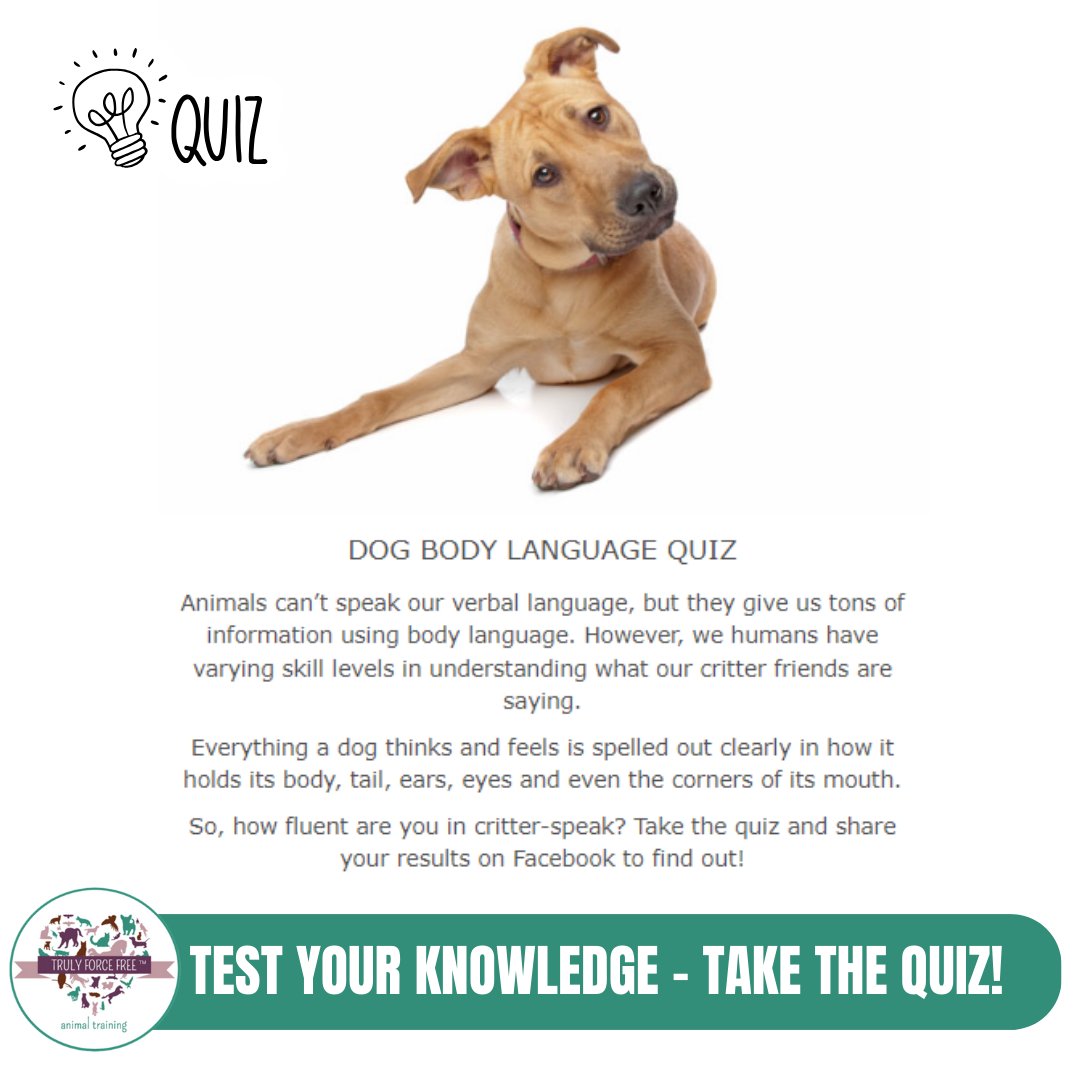 🌟TAKE THE QUIZ🌟 Do you understand Canine Body Language?

🐶trulyforcefree.com/quiz-canine-bo…

#dog #doggo #puppy #pup #dogtraining #puppytraining #dogtraining101 #puppytraining101 #caninebodylanguage #bodylanguage #canine #dogtrainingtips #puppytrainingtips #puppytrainingadvice #quiz