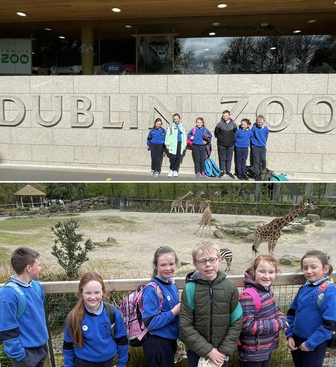 Scoil Brighde Tooreen tweet media