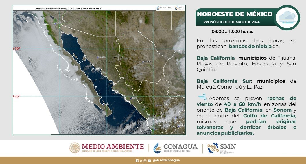 Se pronostican bancos de #Niebla en municipios de #BajaCalifornia y #BajaCaliforniaSur.