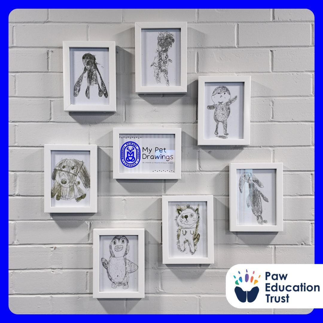 Check out these adorable drawings from Moorhill Primary School! 🎨✨
 
#PetPortraits #AdorableDrawings #moorhillprimaryschool