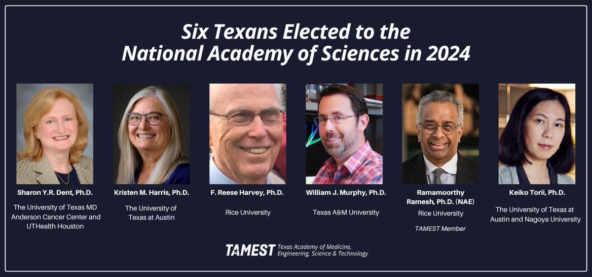 TAMEST is proud to welcome five new members and one current member elected to @TheNASciences (NAS) in 2024. The six were among the 120 members and 24 international members elected in recognition of their distinguished and continuing achievements in original research.