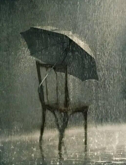 ' بمجرد إنتهاء المطر، تصبح المظلة عبئ على الجميع هكذا ينتهي الوفاء عندما تتوقف الفوائد .'