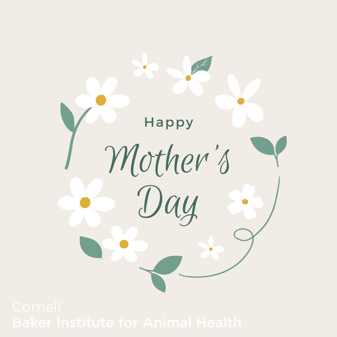 Happy Mother's Day from all of us at The Baker Institute for Animal Health!
#MothersDay #Mothersday2024 #mothers #mothersday #animalhealth #cornellbaker