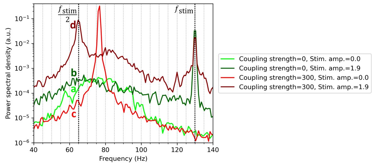 Modelling suggests that 1:2 entrainment is more likely to occur with pre-existing oscillatory activity, such as medication-induced FTG: see our Letter to the Editor in @brainstimj doi.org/10.1016/j.brs.…