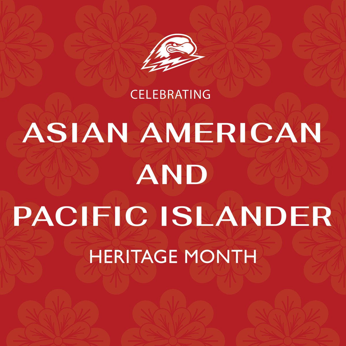 Today we recognize and celebrate the start of Asian American and Pacific Islander Heritage Month! #TBirdNation ⚡️ #RaiseTheHammer