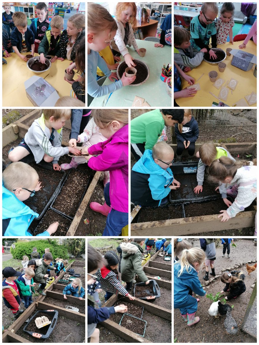 Llanishen Fach tweet media