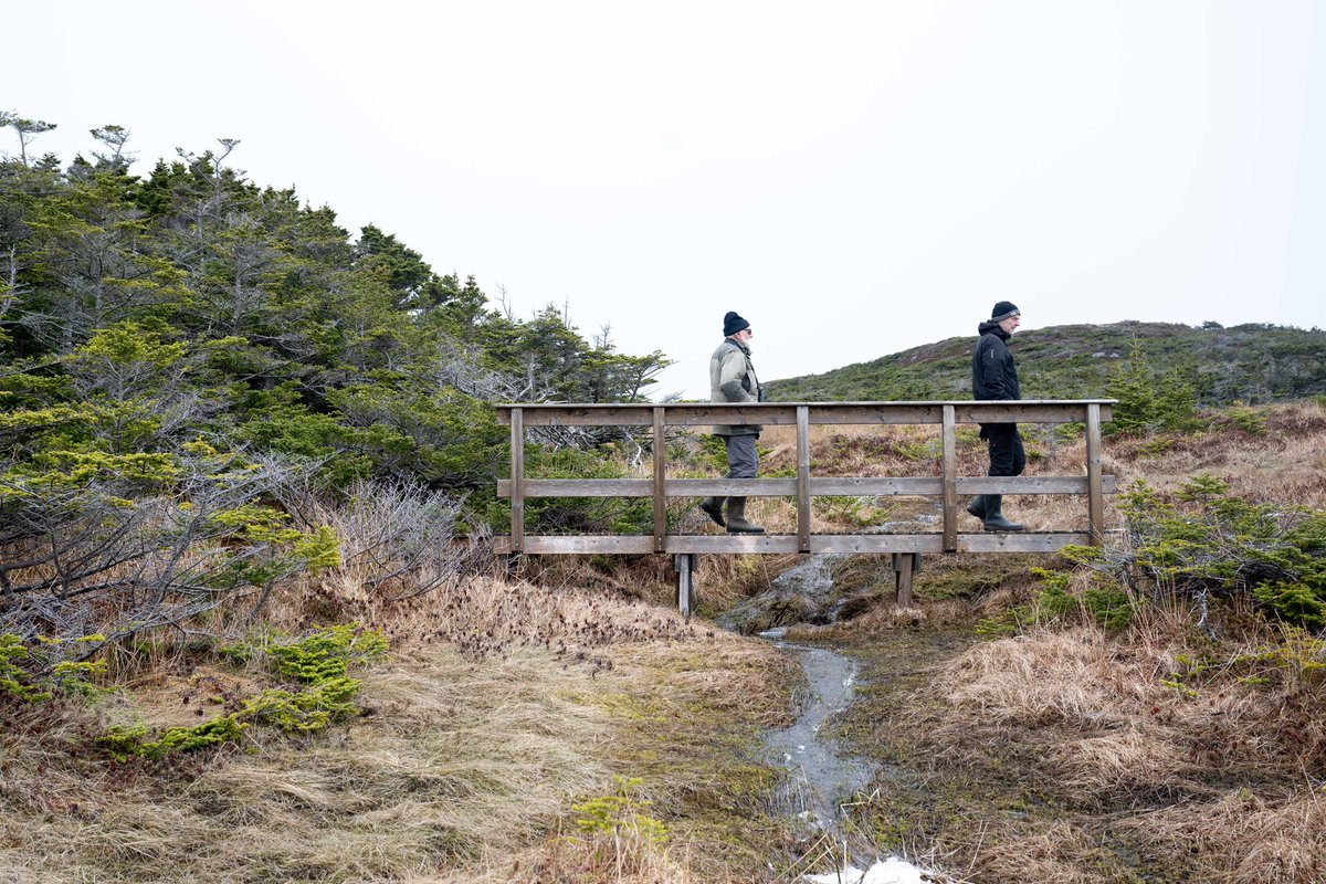 #Miquelon se caractérise par sa biodiversité diverse et un environnement naturel riche qu’il faut préserver afin de conserver la beauté unique du site. 🍃 
L’île comprend + de 300 espèces d’oiseaux, une #faune exceptionnelle avec des phoques, baleines et différents crustacés. Une…