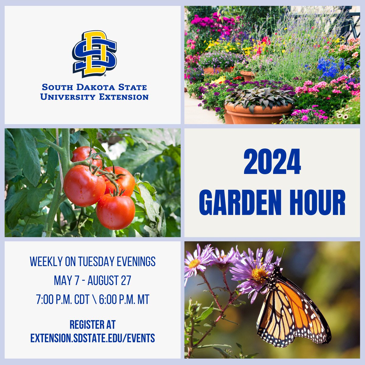 The 2024 Garden Hour webinar series is starting on 🗓️Tuesday, May 7 ⏰7:00 p.m. CDT / 6:00 p.m. MT. 📝Registration is free 🗨️SDSU Extension horticulture specialists discuss the latest gardening and landscape questions from across the state. extension.sdstate.edu/event/garden-h…