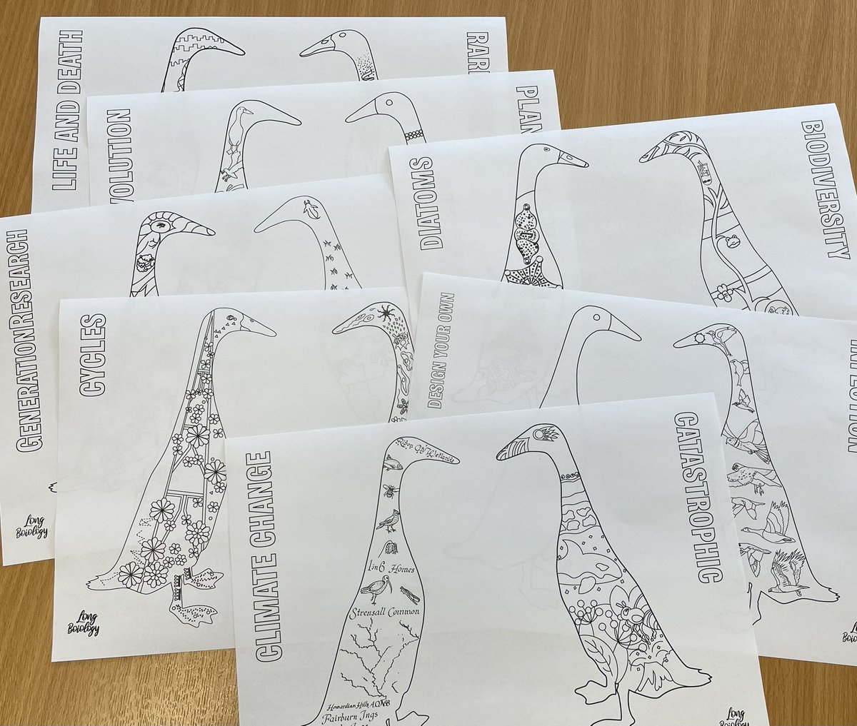 So excited to see the proofs for our #LongBoiology colouring book @BiologyatYork - come and do the art trail as part of our @YorkFestofIdeas event on 8 June and design your own duck for our art exhibition! york.ac.uk/biology-art-tr… #YorkIdeas 🦆