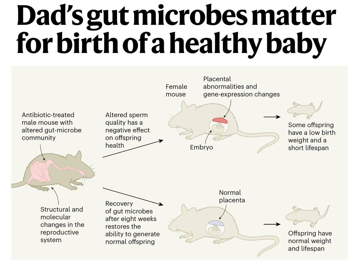 Good explainer @NatureNV 
nature.com/articles/d4158…