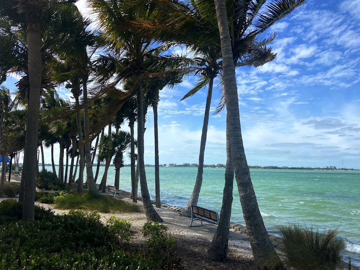 Beautiful day in Sarasota. Days like this are tough but the Bull Market is coming for Pulsechain !!