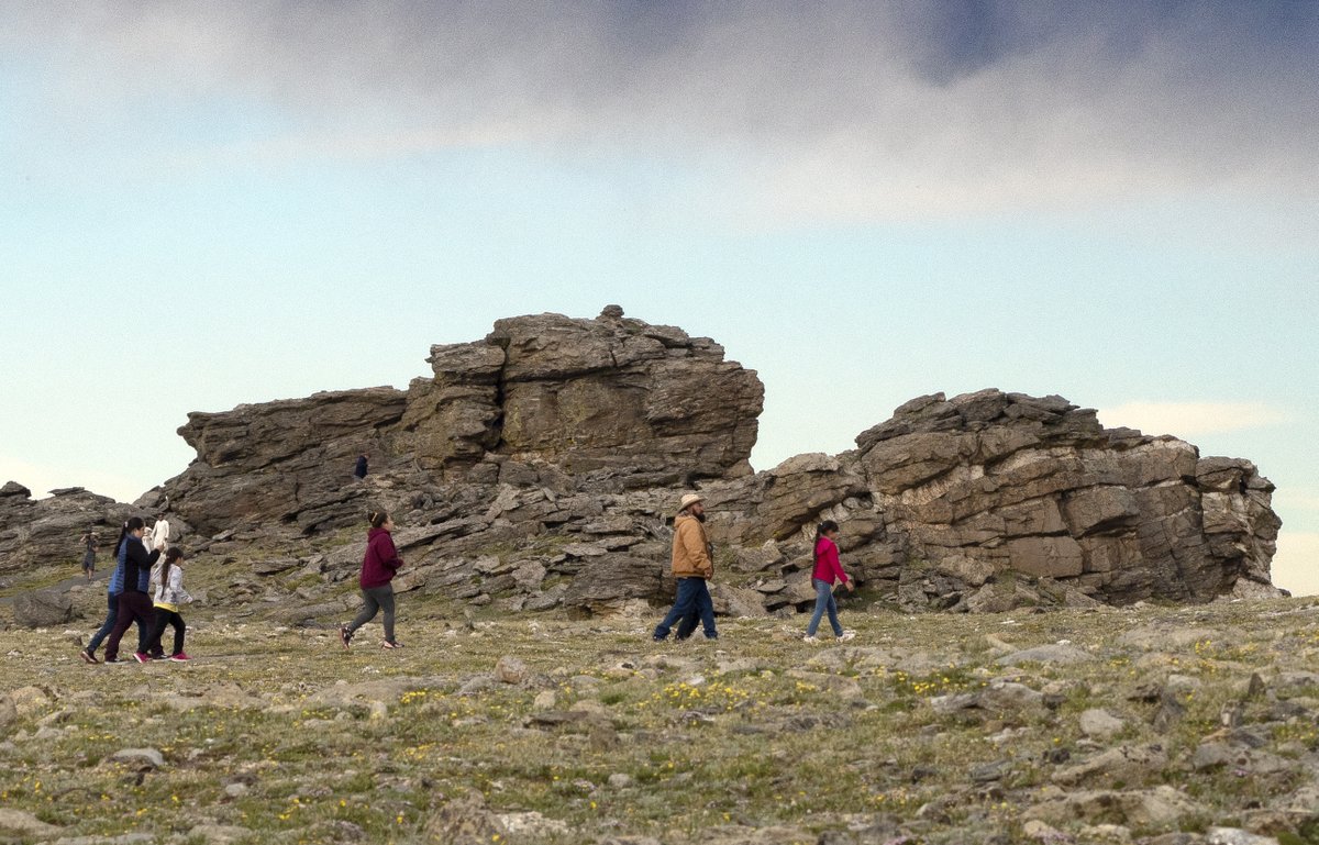 Do you have a passion for botany and love the 🏔️ mountains? @RockyNPS is looking for three paid @usaconservation crew members to contribute to native 🌱 seed collection activities! 📷 NPS Apply now ➡️ usaconservation.applicantpool.com/jobs/1094078 #NPSYouth #YourParkStory #Internship