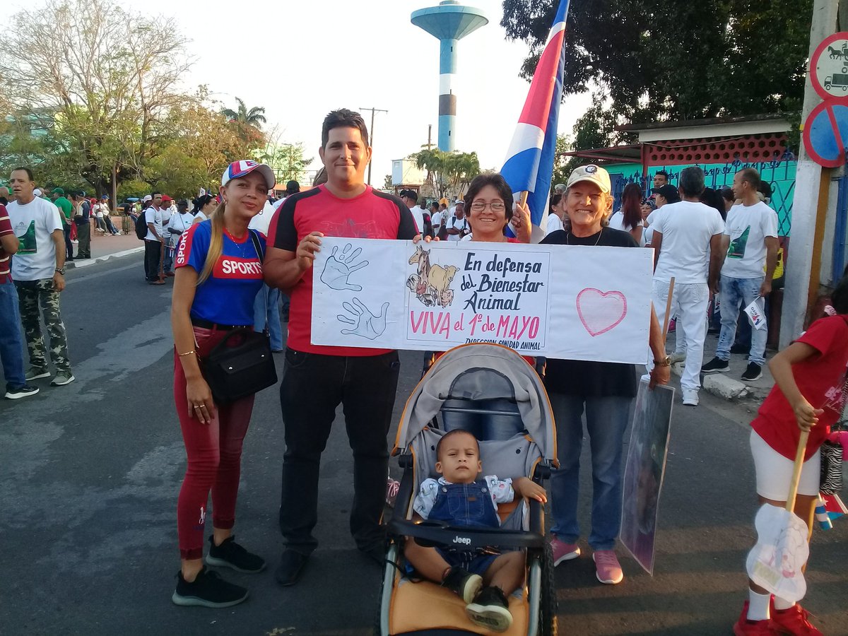 Los veterinarios de la Isla presentes en la fiesta de los trabajadores. 
#1rodeMayo
#PorCubaJuntosCreamos 
#AgriculturaPinera #VeterinariosIJ #BienestarAnimal #SanidadAnimalIJ #UnaSolaSalud