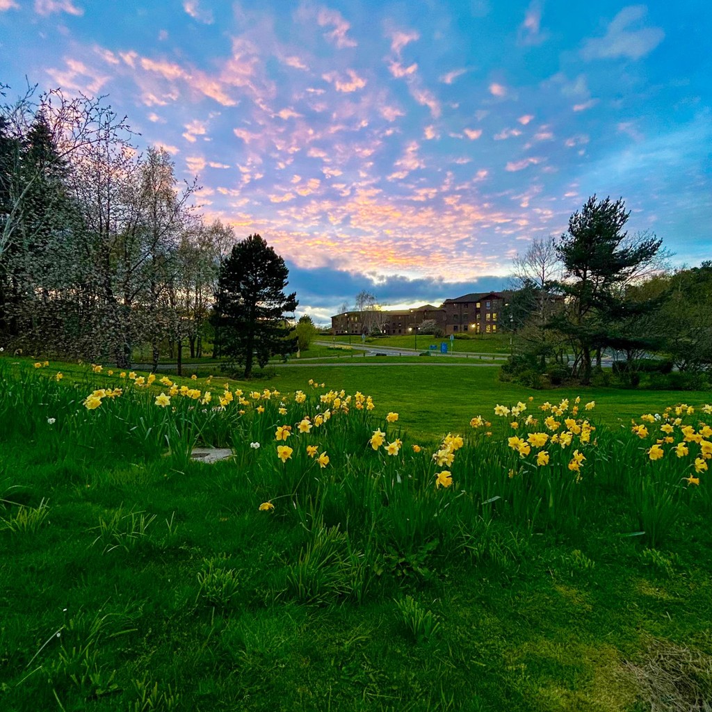 Another incredible view on our Edinburgh Campus! 🌷😍 Which campus did you study on? 📷 - @heriotwattuni