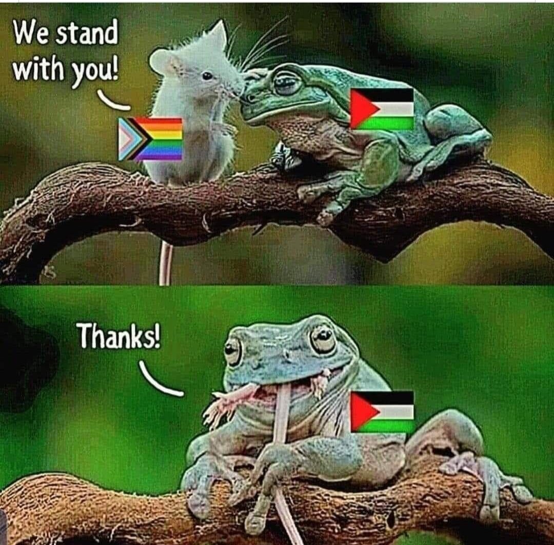 #queersforpalestine #LGBTQIA 🤣🤣🤣