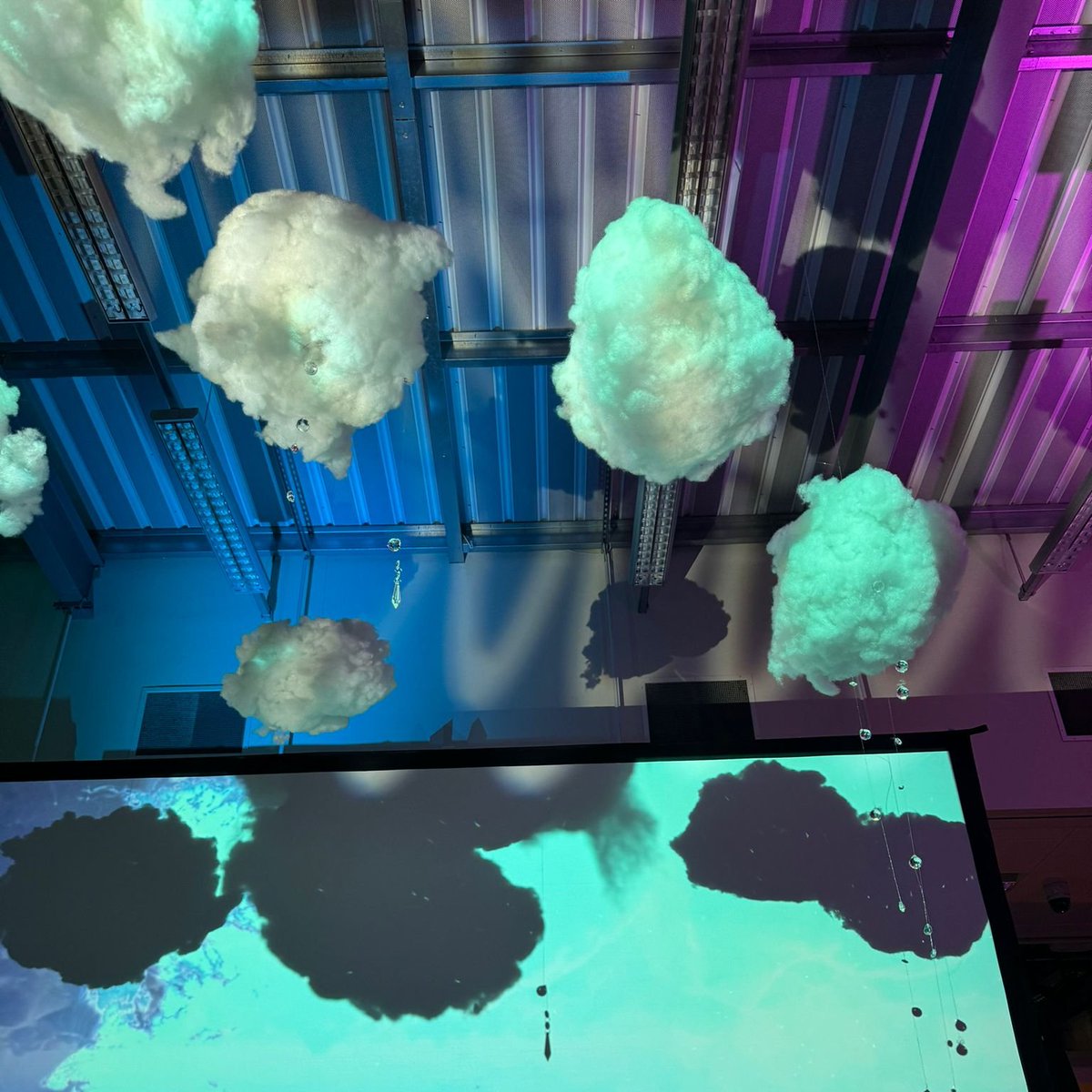 Everyone Here tweet media