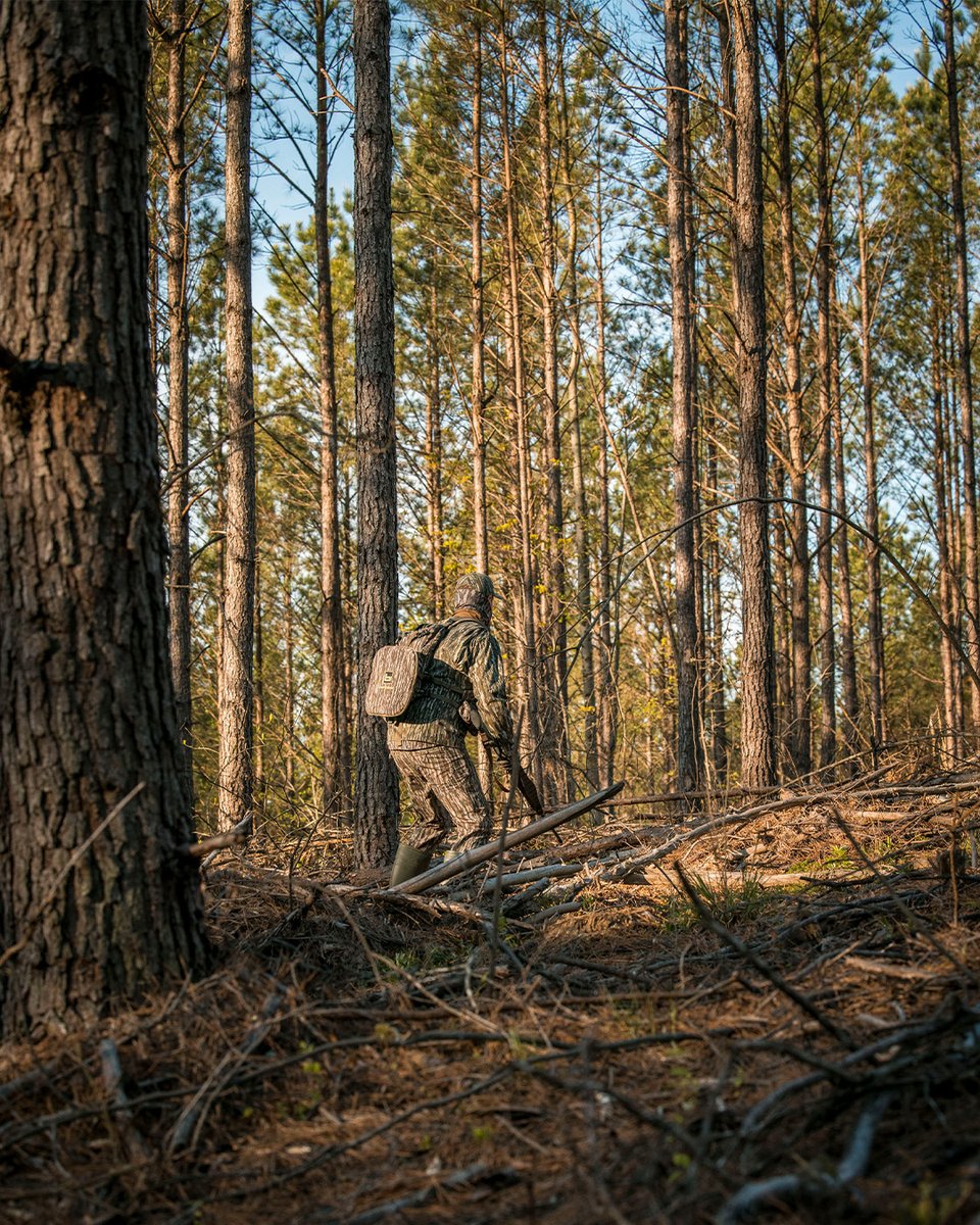 Zeroing in through the pines. #Realtree