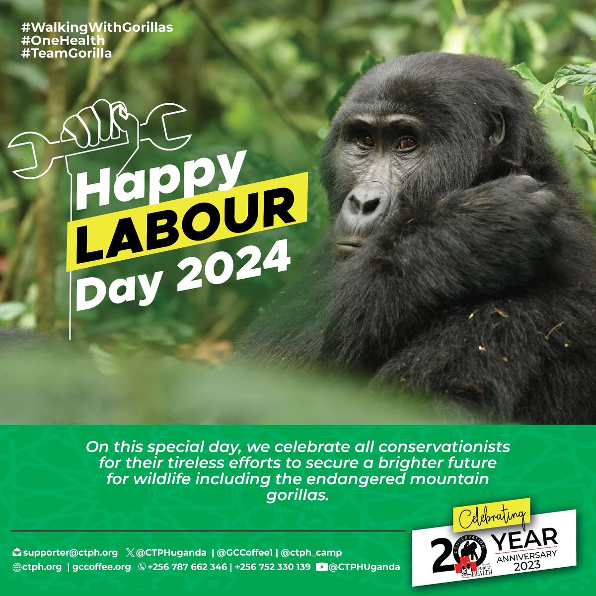 Happy Labour Day. Today, we salute all the brave and hard-working conservationists that have worked so hard over the years to achieve a bright future for our wildlife. #OneHealth #WalkingWithGorillas