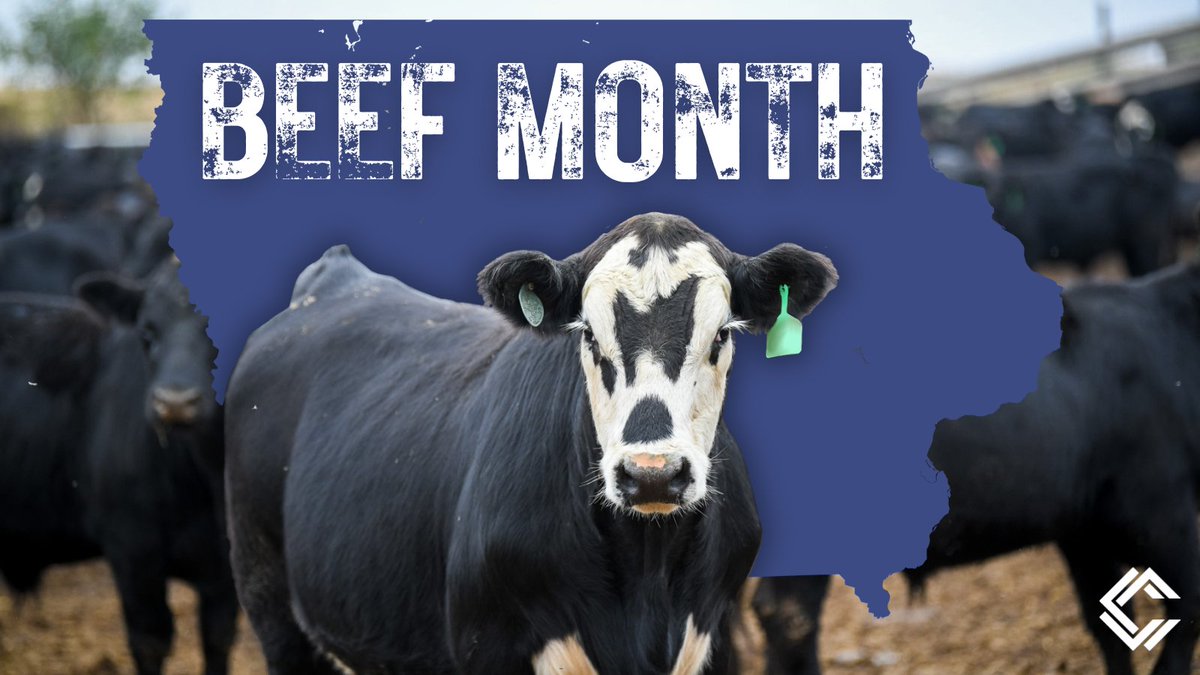 May is Beef Month!

In 2023, 16,665 Iowa jobs were directly related to the cattle industry. Another 9,308 jobs were indirectly related to the cattle industry. That totals up to nearly 26,000 jobs in Iowa!

🔗 iabeef.org/Media/IABeef20…