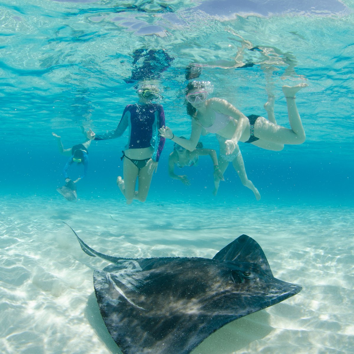 There is so much to experience in Cayman this summer. Add swimming with the stingrays at Stingray City to the to-do list. Thank us later. Visit summer.caymanislands.com to plan your summer escape today! #visitcaymanislands #experiencemoreincayman #caribbeansummer #summervacay