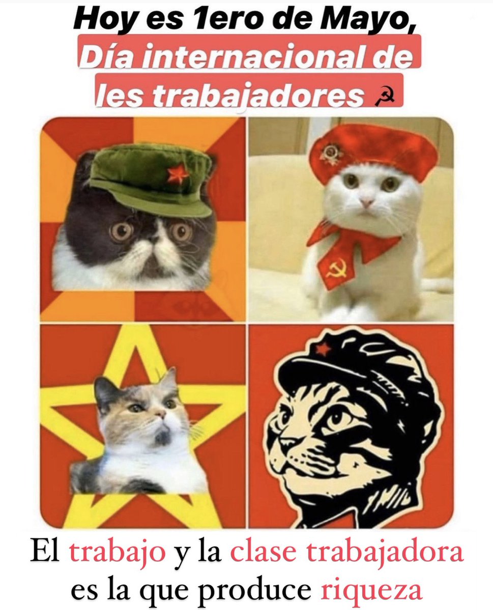 Miau.

#1deMayo #DiaDelTrabajo #DíaDelTrabajo #1M #DíaDelTrabajador #DíaInternacionalDeLosTrabajadores
#DíaDeLosTrabajadores

#GatitosContraLaDesigualdad
#DeconstruyamosElMitoDeLaMeritocracia 
#TaxTheRich #EatTheRich