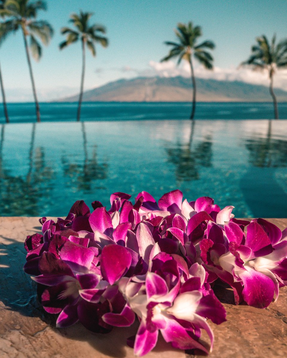 May Day is Lei Day in Hawaii Nei! 🌺 Today, Director of Hawaiian Programs Aunty Wendy has arranged a full day of cultural activities for guests including Lei Po'o making, live music, a personal lei collection, a Rosé and Lei Bar, hula dancing, and much more.