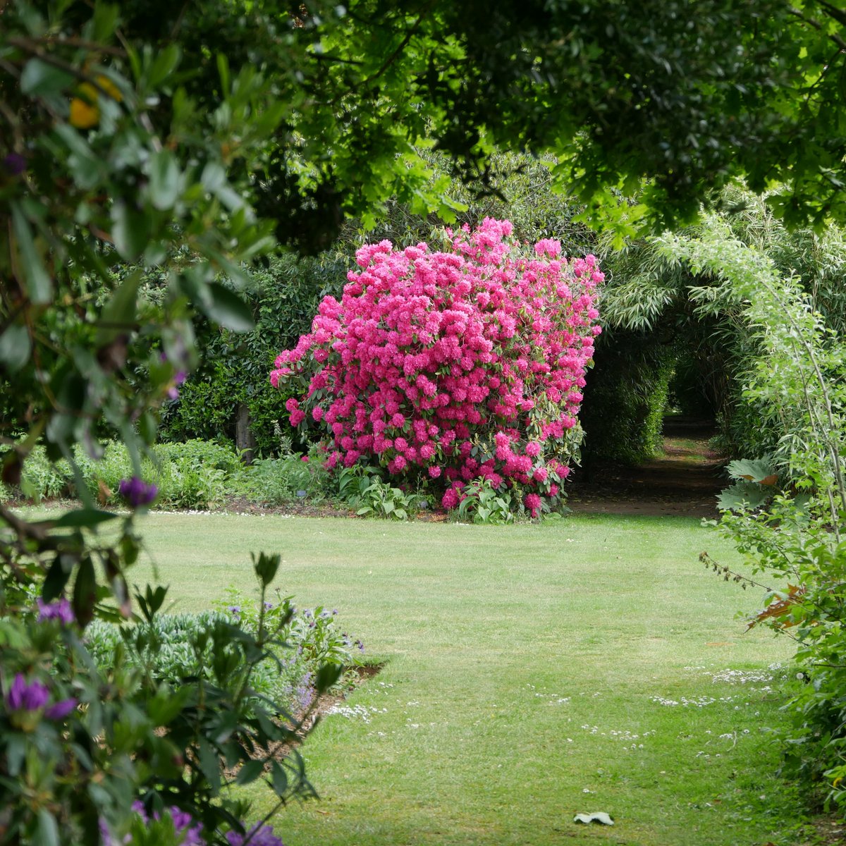 It's less than a week until the next Garden Open Day at Knole. bit.ly/3NO3h4m Tue 7 May | 11am-4pm (last entry 3.30pm) Book in advance or buy on the day. £5 plus normal admission applies. #sevenoaksevents #kentgardens ©National Trust/A. Sabin/J. Charman/J. Hatcher