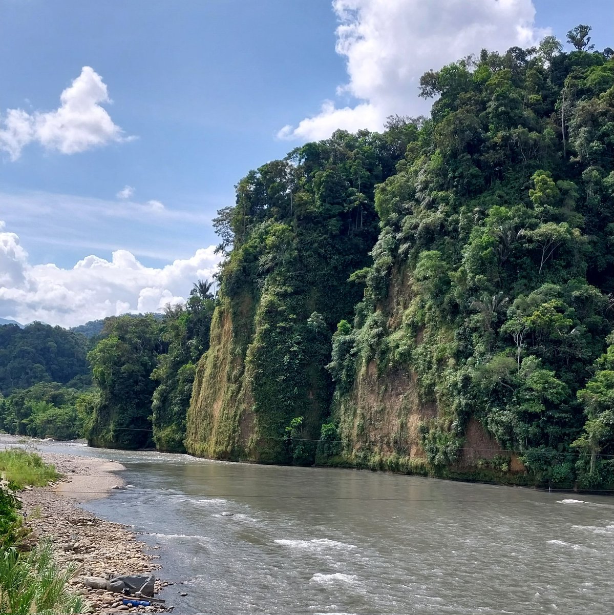 Mientras la minería avanza, hay pocos lugares escasos en la Amazonía que aún se mantiene bajo protección de los pueblos indígenas 💦💚💪💪 fuerza #NapoSinMineria #Serena #YuturiWarmis