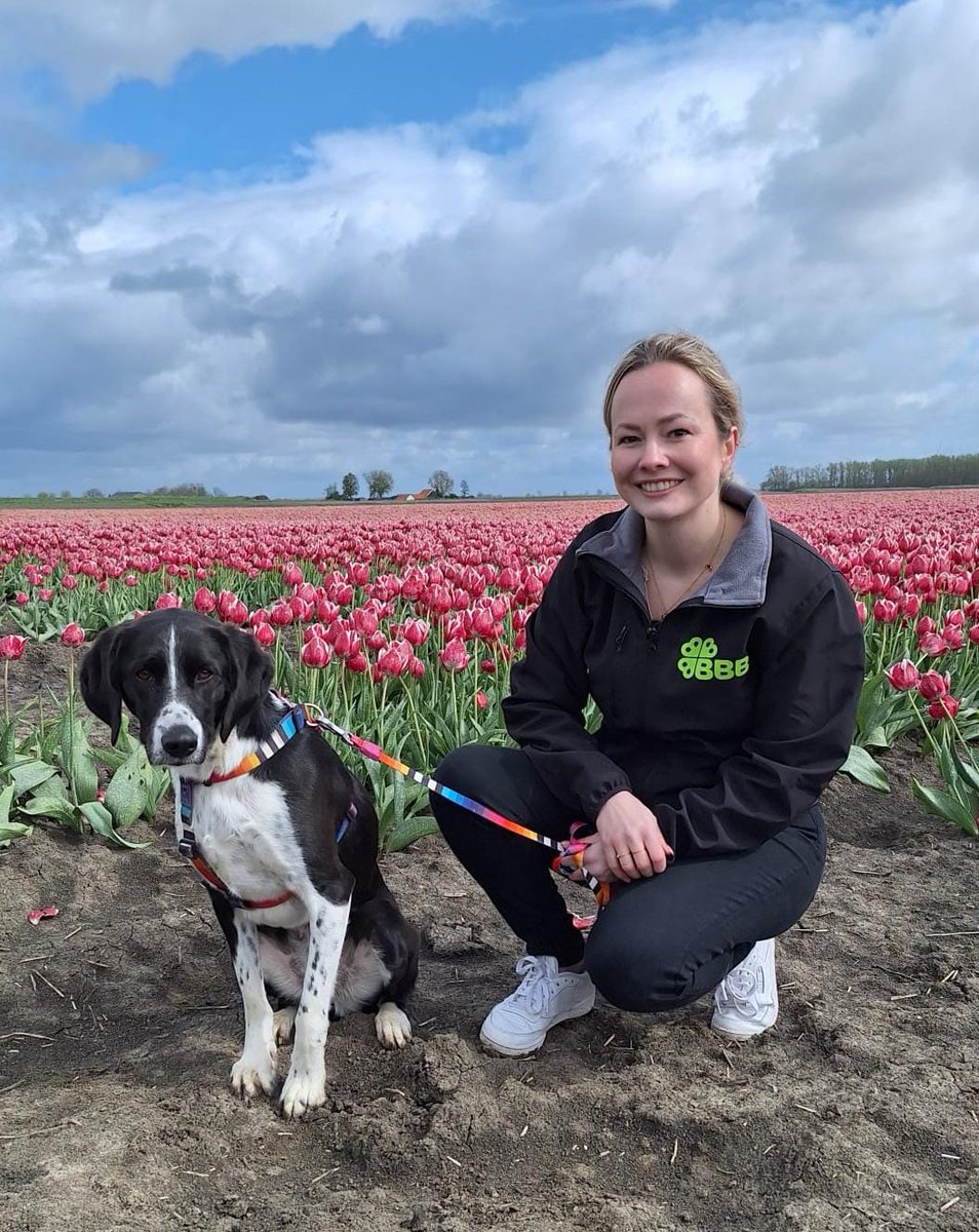 Do 6 juni zijn het Europese verkiezingen 🇪🇺 BBB staat klaar om ook in BBBrussel aan de slag te gaan. Onze Zeeuwse Limburger Milou Rietjens, staat op nr. 5 op de kieslijst (#13🍀) Wil je helpen met de campagne? Meld je dan aan voor de BBBQ 10 mei, via zeeland@boerburgerbeweging.nl