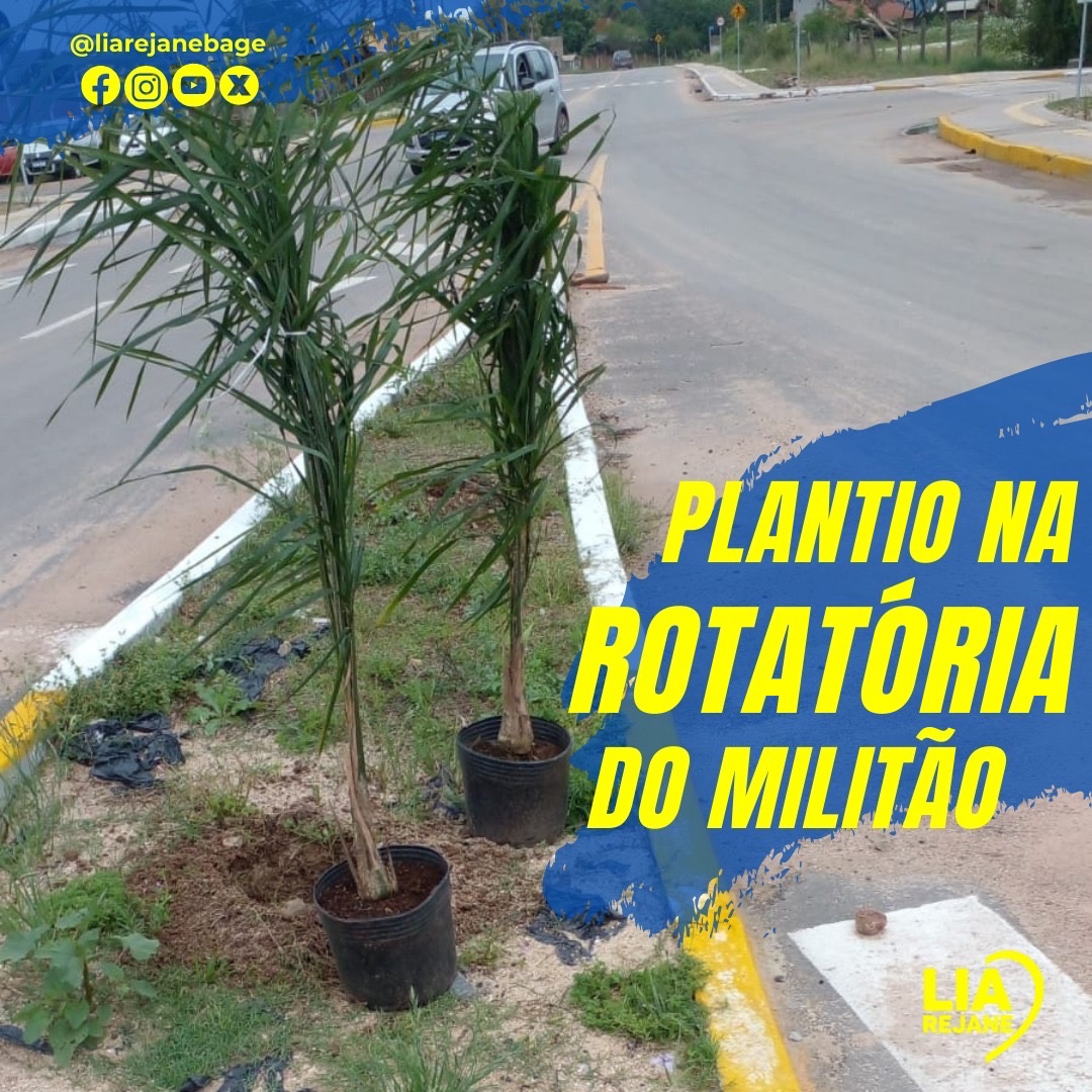 #Realizações #Semapa #Plantio #Parceria #MeioAmbiente #LiaRejane #TamoJunto