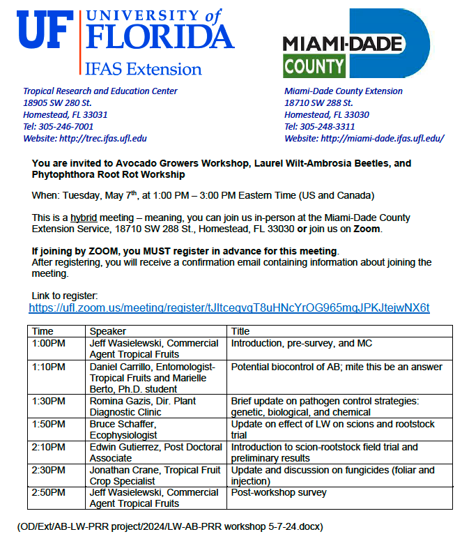 Curious about what's going on in the world of #laurelwilt #avocado #aguacate? 🍄💀🥑 Join @UFTropical faculty for an update on ongoing projects. Register: ufl.zoom.us/meeting/regist… #savetheguac @USDA_NIFA @NifaScriAvocado @USDA_APHIS @AvosFromMexico @corpohass @UFPlantPath