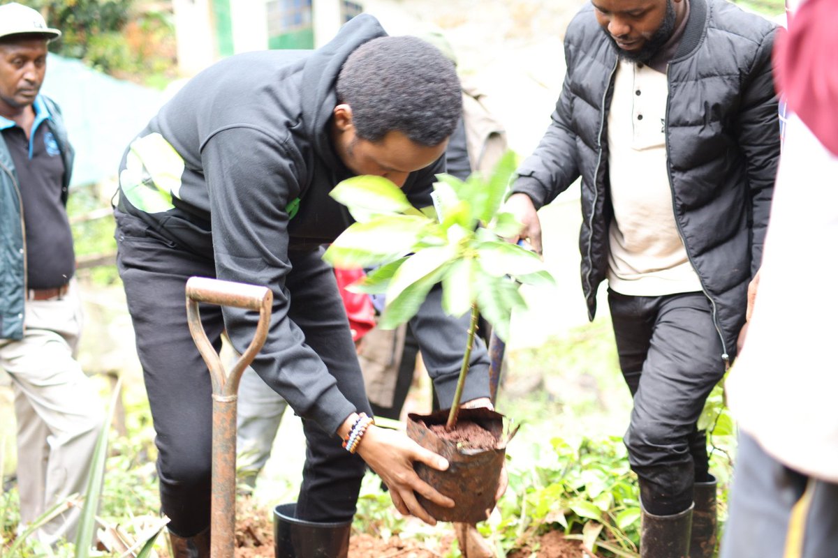 Sen. Karungo wa Thang'wa tweet media