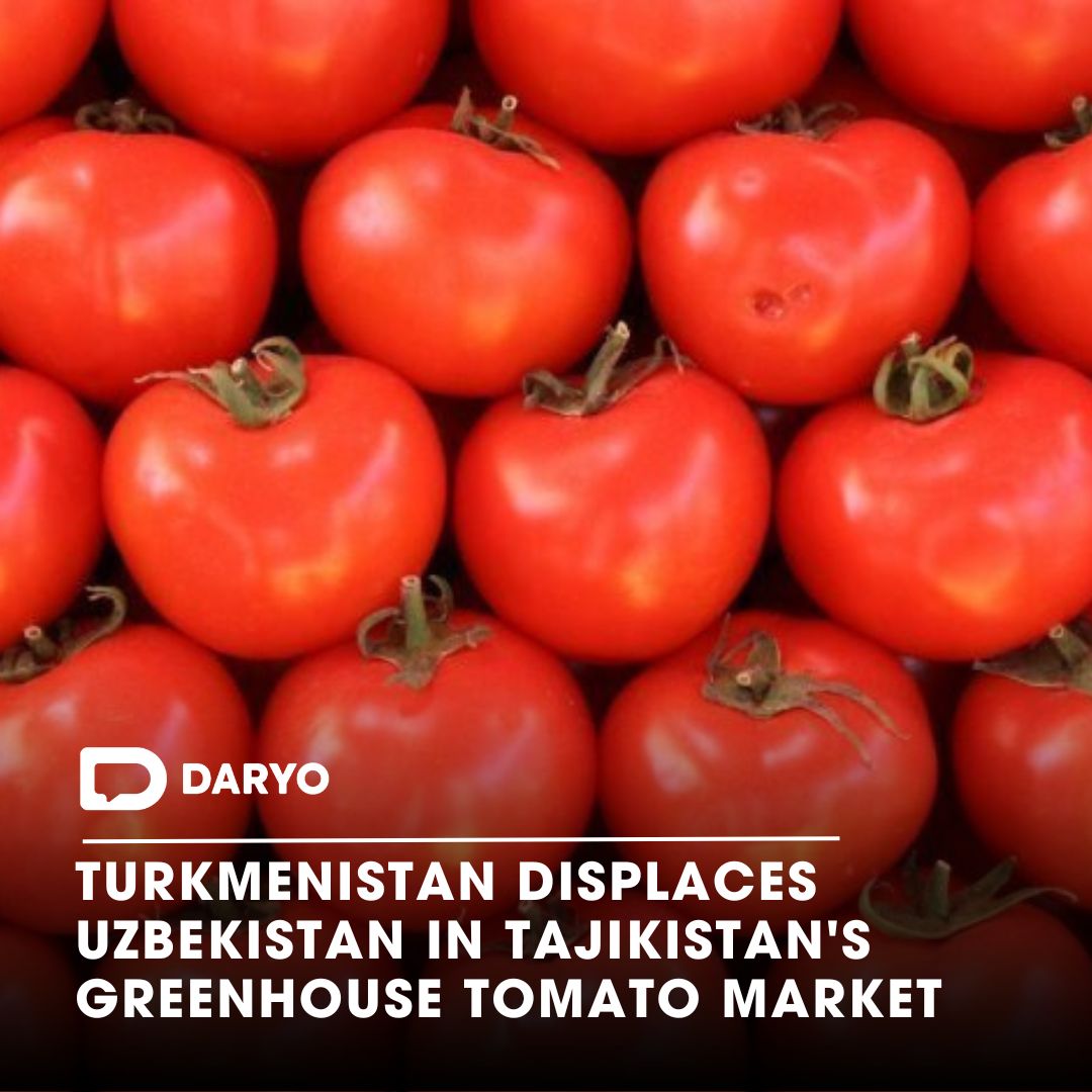 #Turkmenistan displaces #Uzbekistan in #Tajikistan's greenhouse #tomato #market

The current pricing dynamics of #greenhouse tomatoes in #CentralAsian countries suggest limited #export prospects to #EasternEurope.

👉Details — lnkd.in/danVXrDV

#Turkmenistan #Uzbekistan…