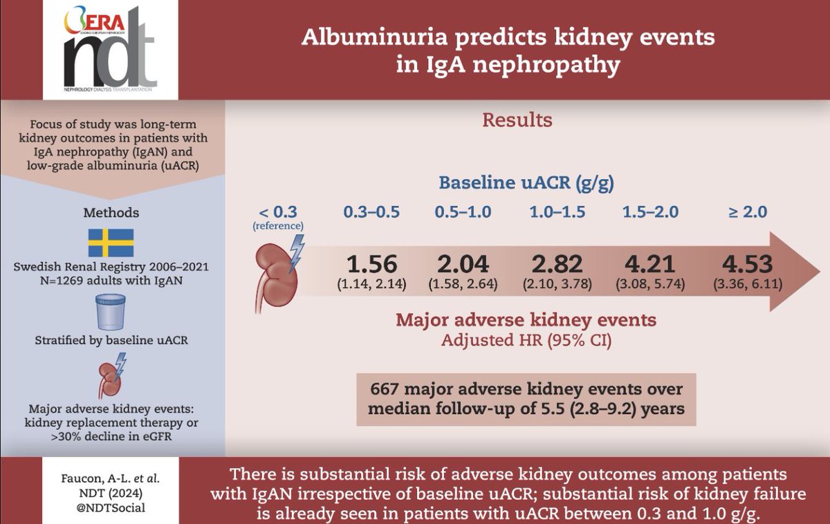 Now open access in @NDTsocial Albuminuria predicts #kidney events in IgAN 📢 Lower levels of UACR significantly associated with MAKE (major adverse kidney events) 👉 IgAN is glomerular and a form of CKD. UACR seems to be top for assessment ⏩academic.oup.com/ndt/advance-ar…