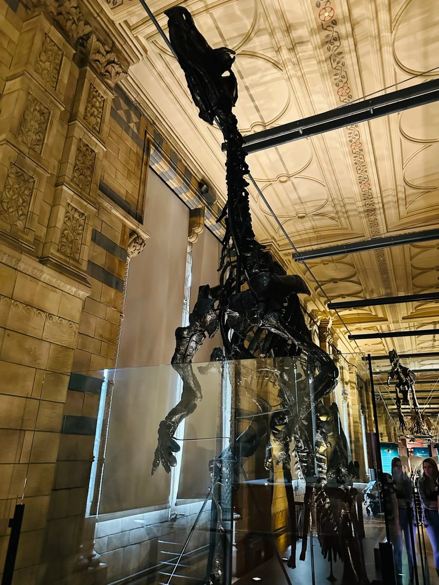 On Mayday, I visited the Natural History Museum with my family🏛