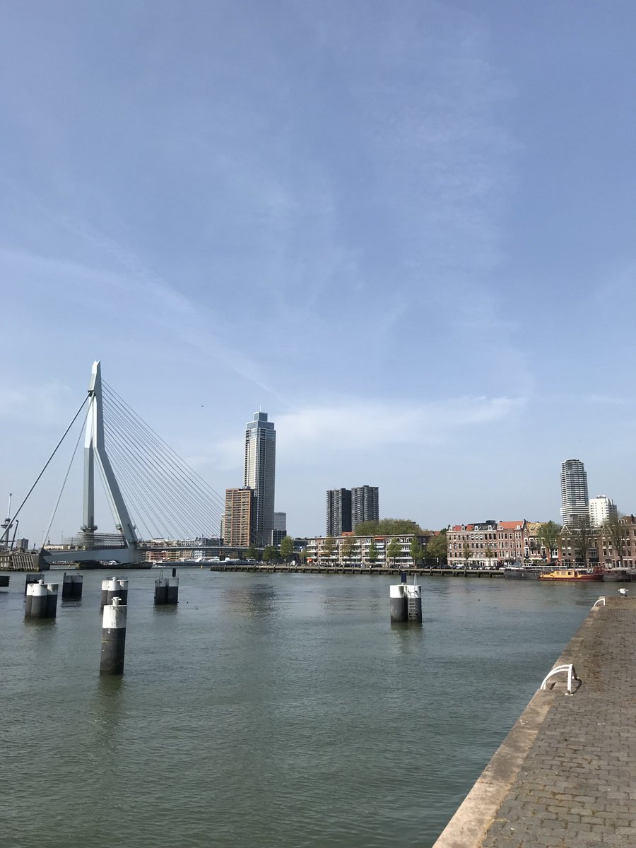 #Rotterdam Moeder aller steden. Meer hoef ik niet te zeggen. #Erasmusbrug