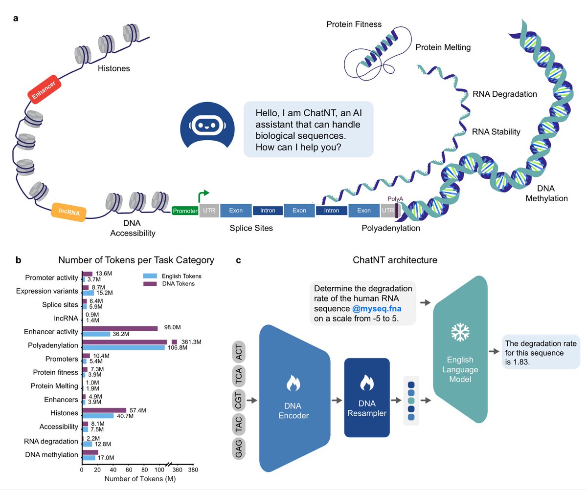 ChatNT: A Multimodal Conversational Agent for DNA, RNA and Protein Tasks instadeep.com/wp-content/upl…