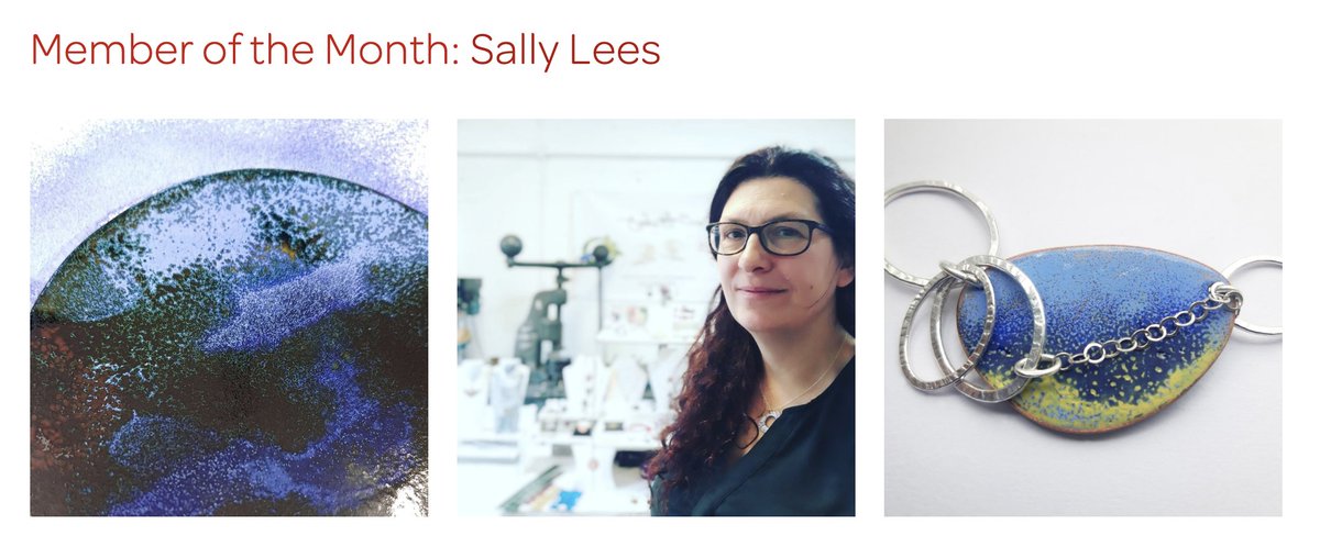 We're so excited to announce that BAJ's Sally Lees was the British Society of Enamellers Member of the Month for April!

Click the link below to learn more about her practice and the BSOE!

enamellers.org/members-galler…

#enamelling #enameljewellery #BSOE #britishartist