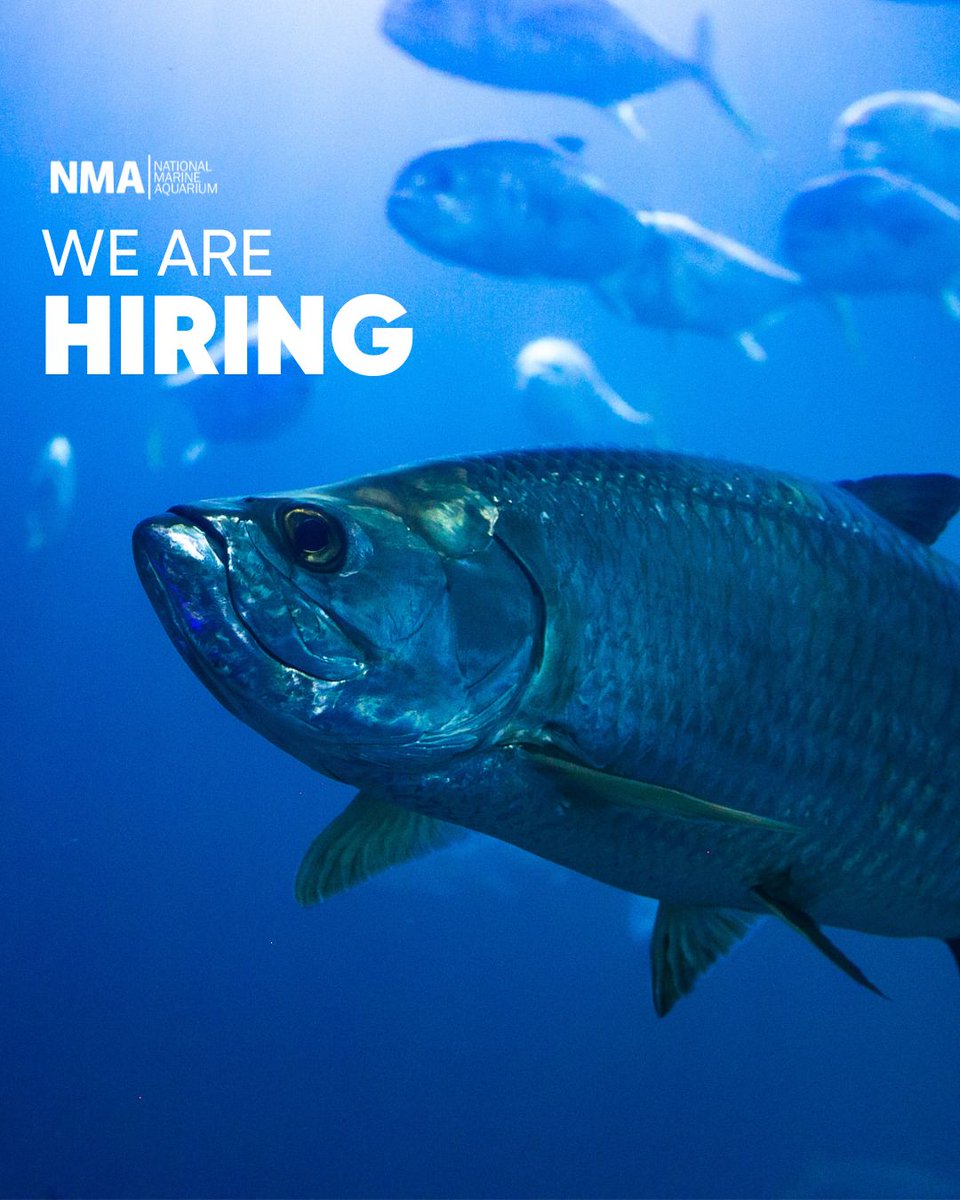We're thrilled to announce that we're expanding our team at the National Marine Aquarium! We're on the lookout for: 🔧 Life Support Systems Engineer 🧹 Housekeeping Asssistant Find out more & apply 👇 bit.ly/NMA-jobs